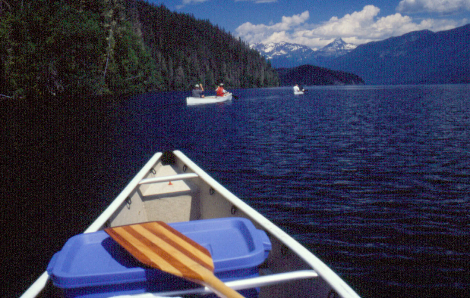Helmcken Falls Lodge Cabin Rooms&RV Park Clearwater Buitenkant foto